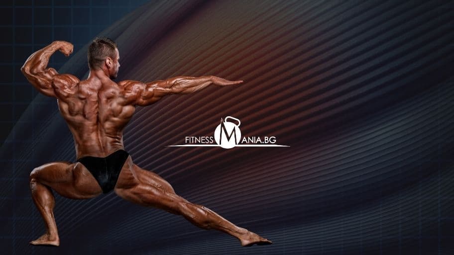 мускулните групи в човешкото тяло