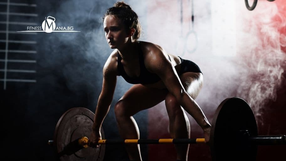 Добавки за енергия и издръжливост